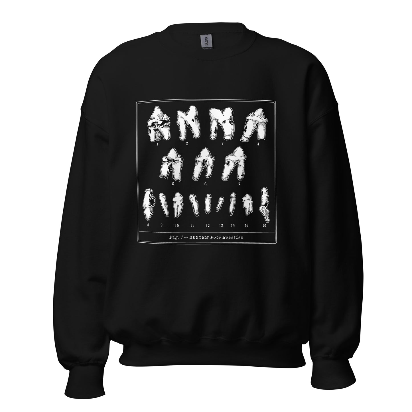 Tooth Canvas Unisex Sweatshirt